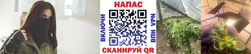 Купить закладку Гашиш  КОКАИН  APVP  Марихуана  Меф  Нелидово