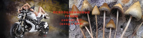 кокс Киренск