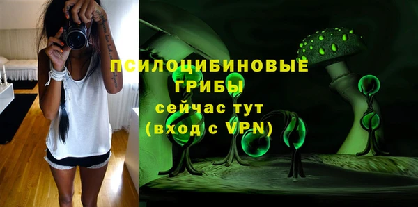 не бодяженный Зеленодольск