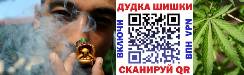 Купить где  Нелидово  МАРИХУАНА сатива 